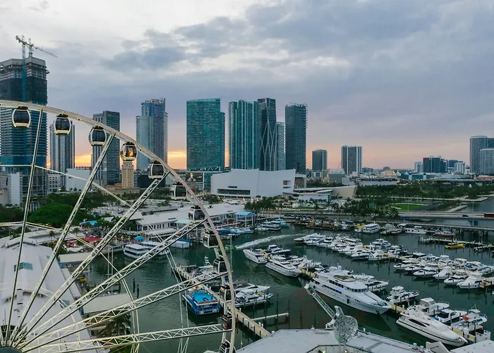 Miami Cabins